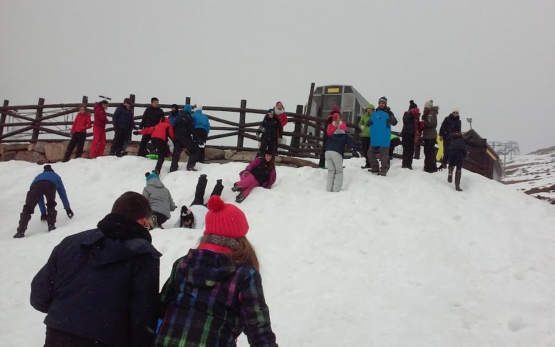 alto campoo