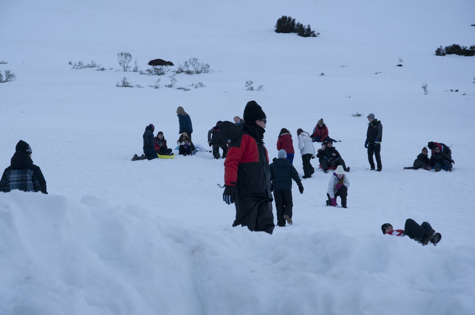 Alto Campoo 2015
