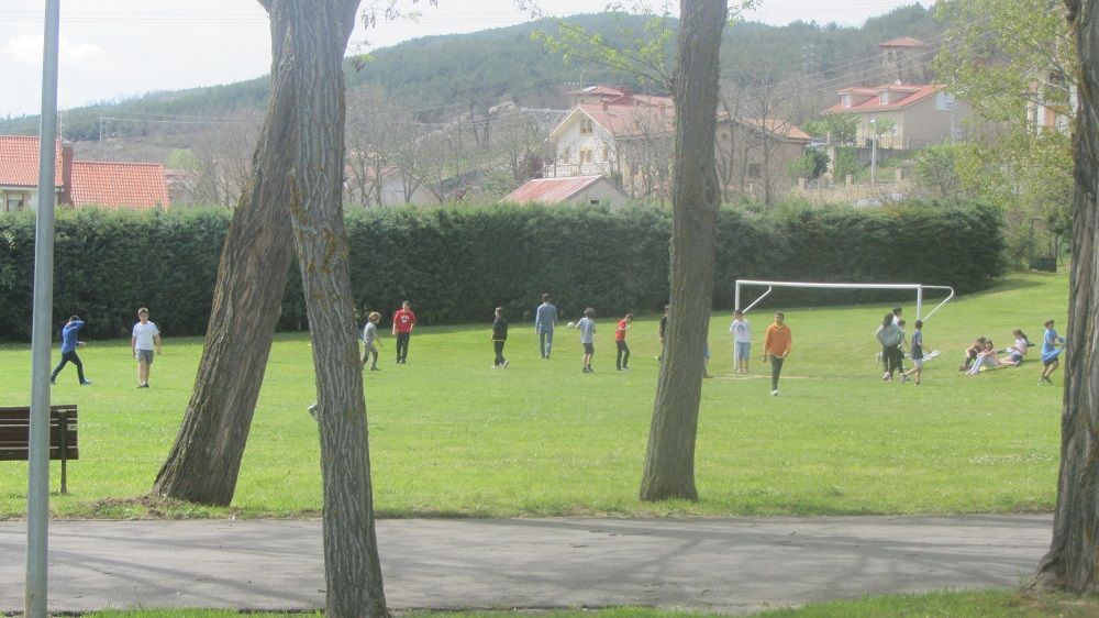 IMG 4086